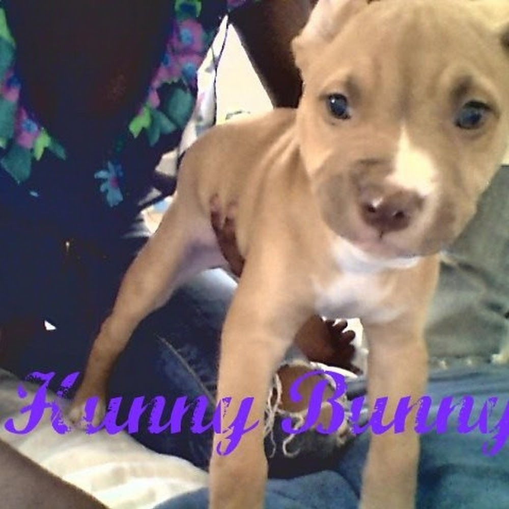 Meet your Posher, Autumndai